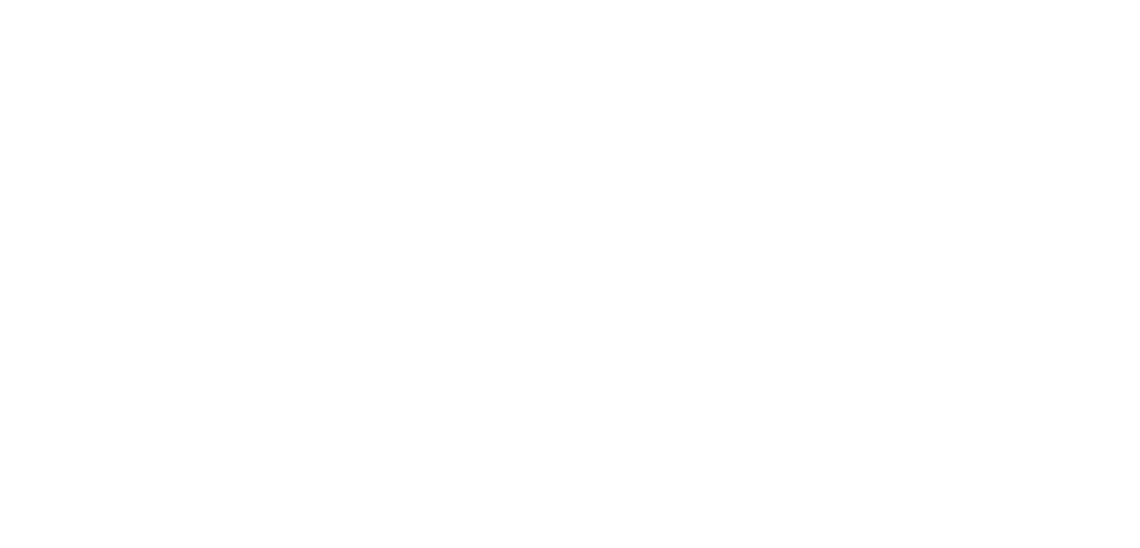 Swiss Perpetual Luxury Watches
